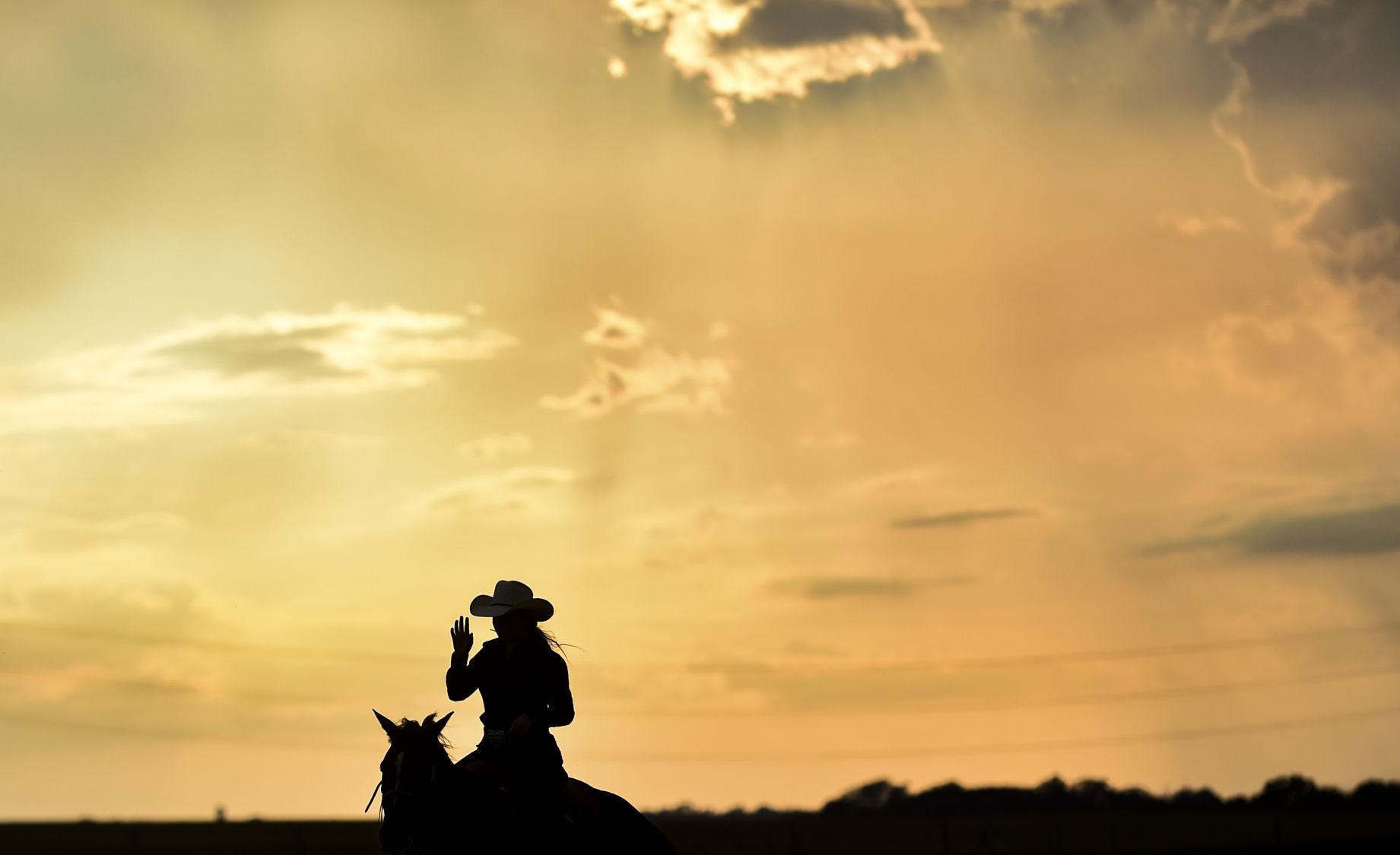 081619-mda-nws-rodeo-59.jpg